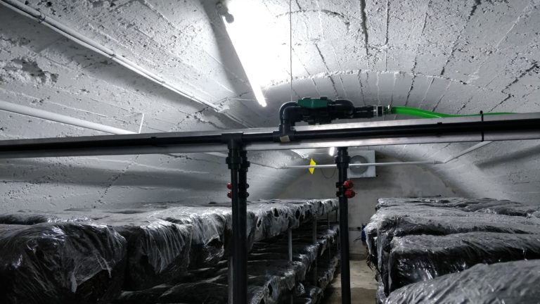 Estructura de carro de riego para champiñones